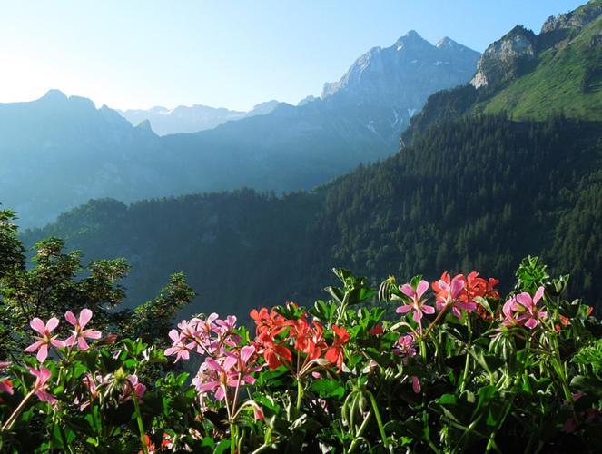 Berggasthaus Gitschenen Hotell Isenthal Exteriör bild
